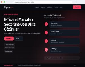 bitparoteknoloji.com: E-Ticaret Markalarında Büyüme Sadece Reklam Bütçesiyle Olmuyor
